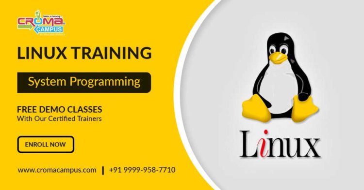 Mastering Linux: A Step-by-Step Guide to Online Training