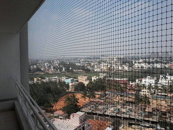 Best Pigeon Spikes for Balcony