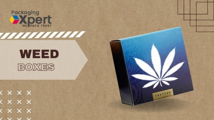 Modern Weed Packaging Ideas for 2025