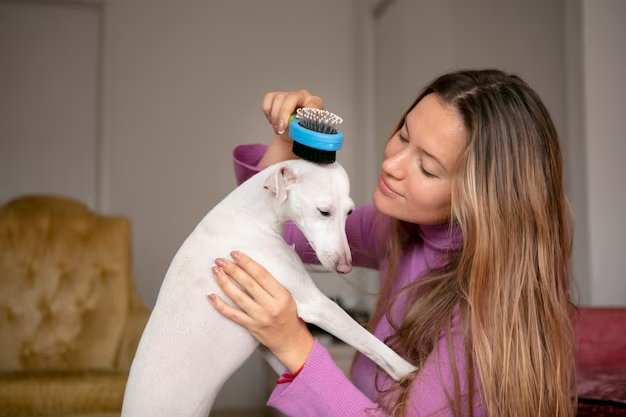 PetGroomly: The Ultimate Solution for Pet Grooming in Pune