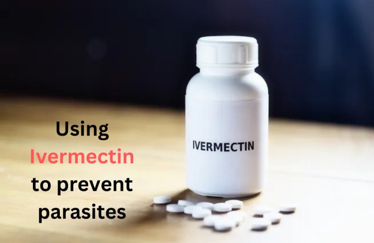 Using Ivermectin to prevent parasites