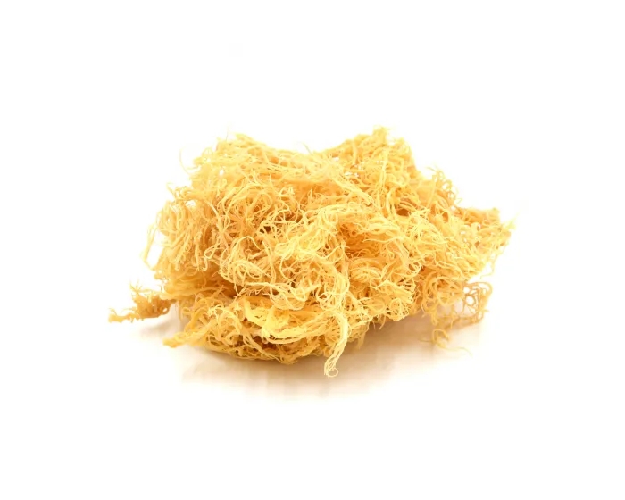 Where to Source Premium Wholesale Sea Moss in Australia